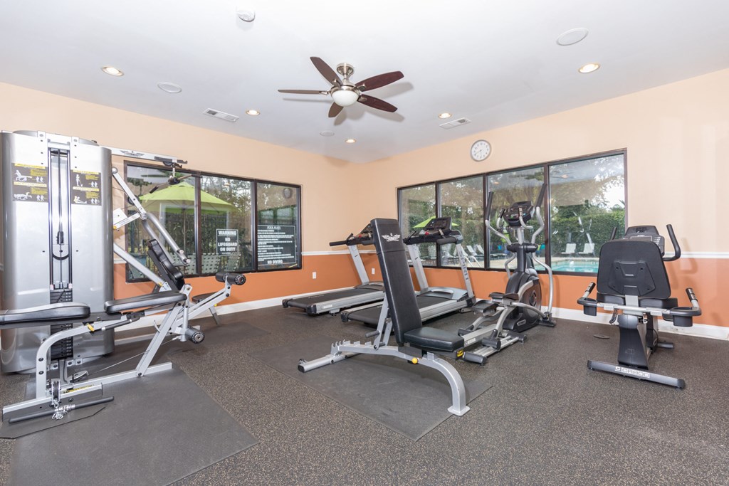 the gym has plenty of exercise equipment and windows
