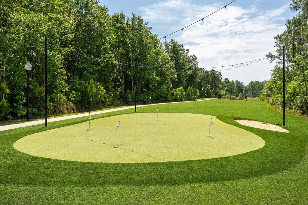 A golf course with a green and a flag on it.