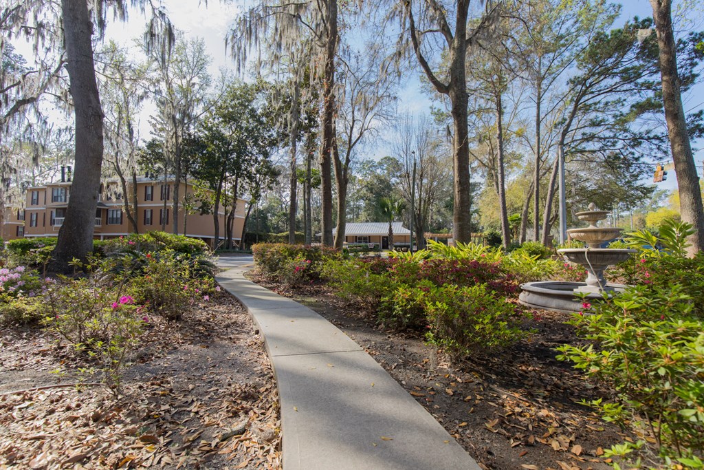 a walkway through a park with trees and plants