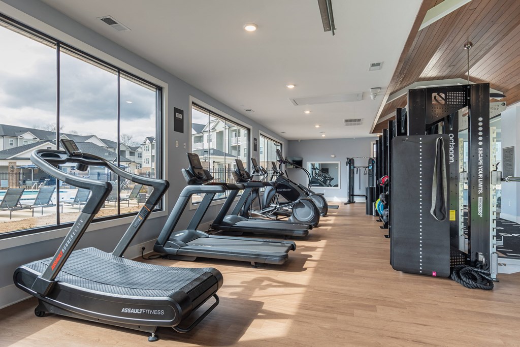 West Park And The Vue*