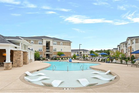 Custom Saltwater Swimming Pool with Sun Shelf and Jets