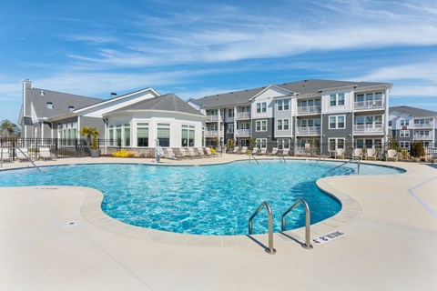 Resort-Style Pool with Sun Shelf and Inset Seating