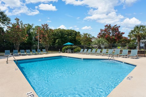 A large swimming pool surrounded by trees and lounge chairs.