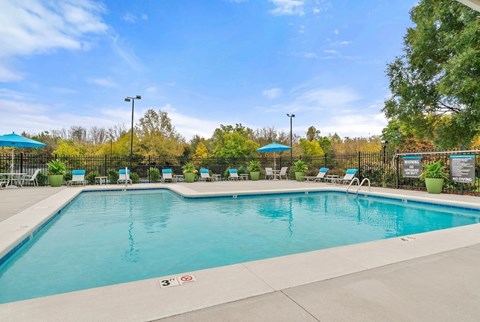 A large outdoor swimming pool surrounded by trees and lounge chairs.