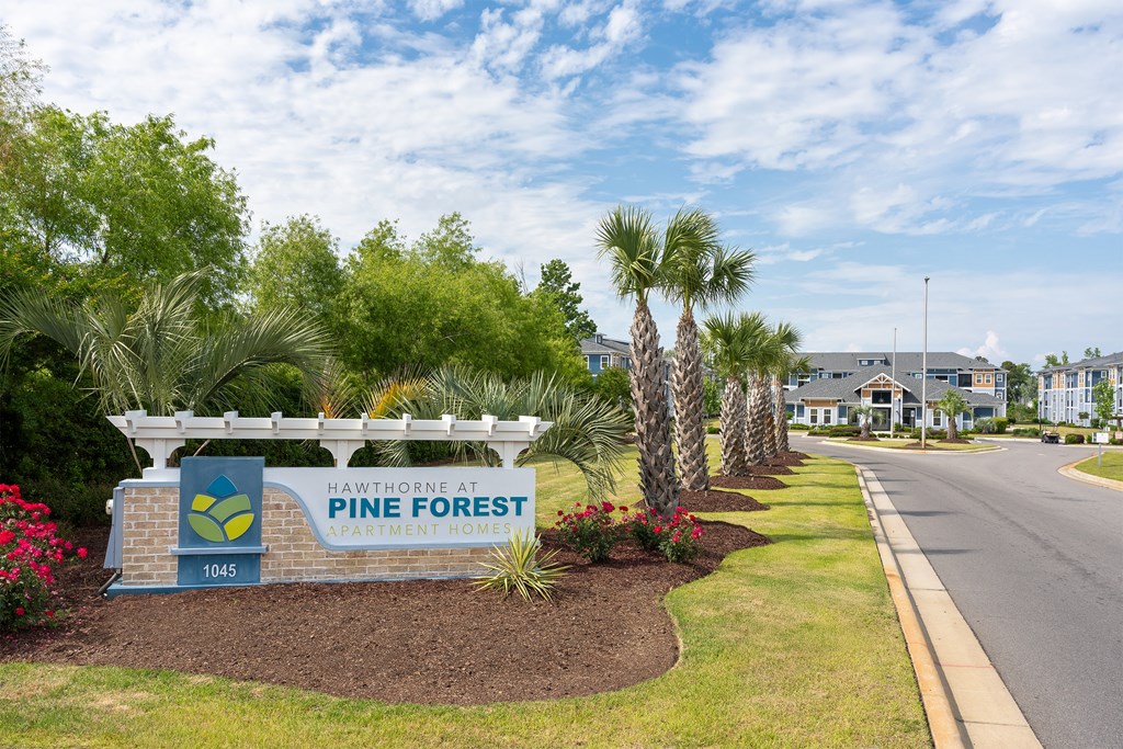 A sign for Pine Forest Apartment Homes is in front of a row of palm trees.