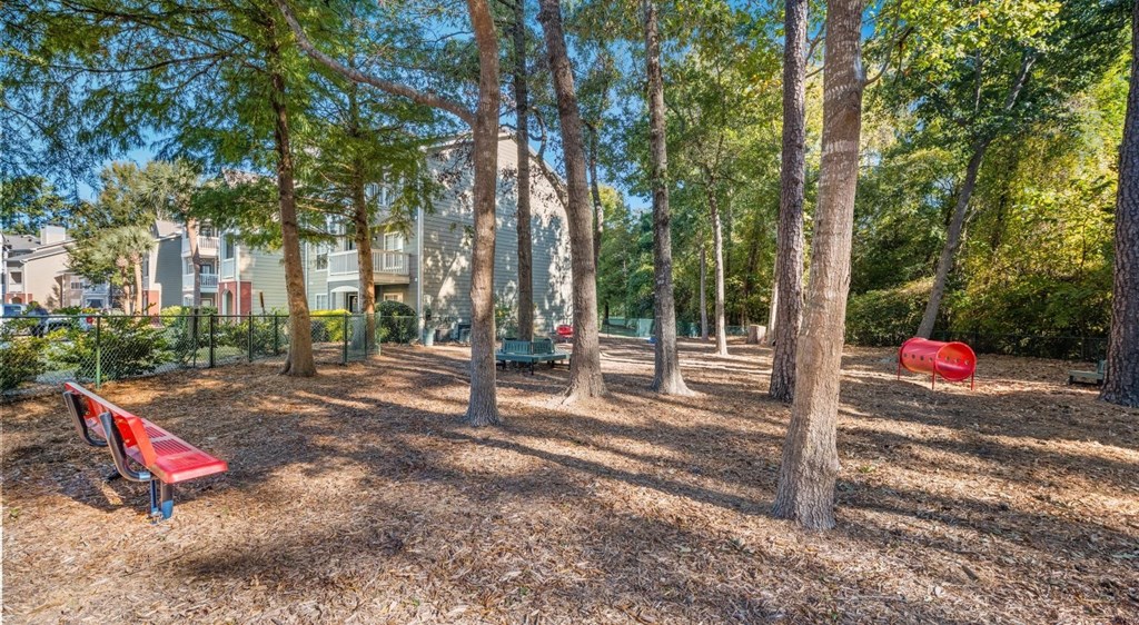 A park with a red bench and trees.