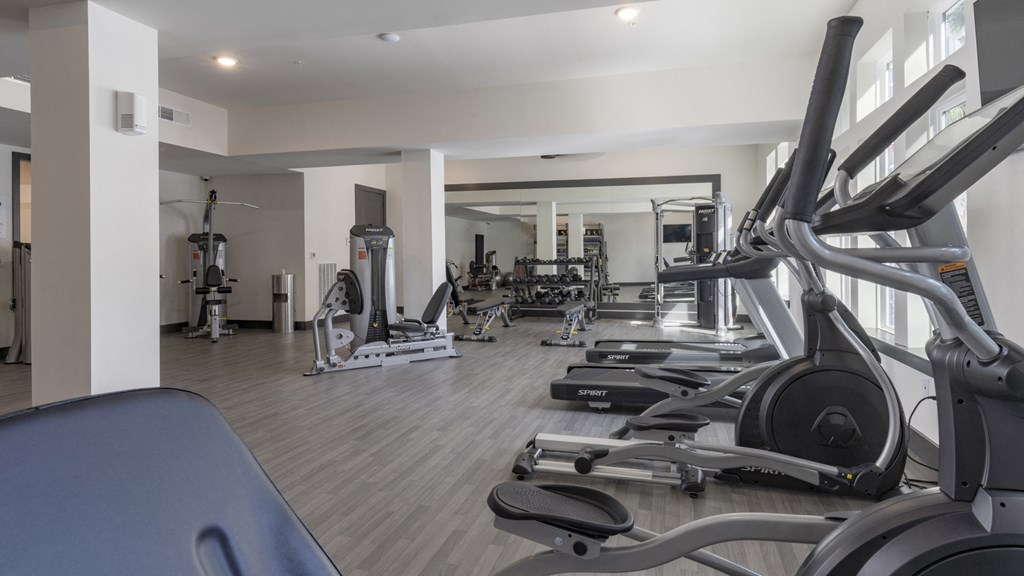 a gym with cardio machines and other exercise equipment