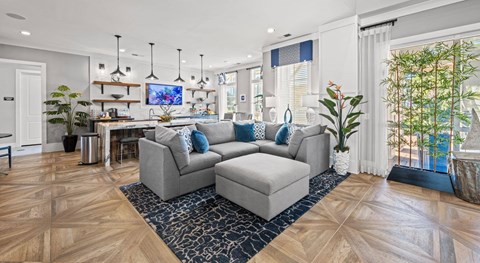 A living room with a grey couch and a wooden floor.