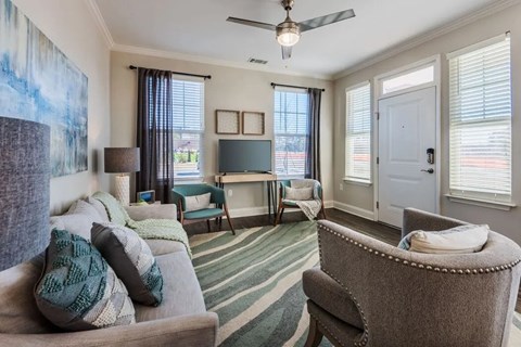 A living room with a grey couch and a green striped rug.