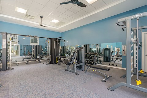 A gym with a variety of equipment including weights and machines.