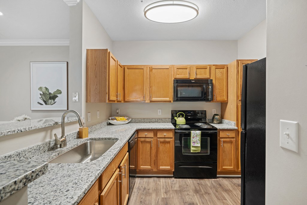Large Kitchen with Sleek Black Appliances