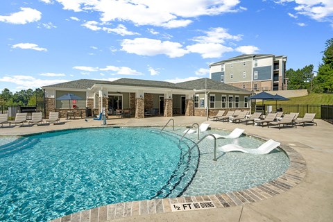 Resort-Style Saltwater Swimming Pool with Sun Shelf and Inset Seating