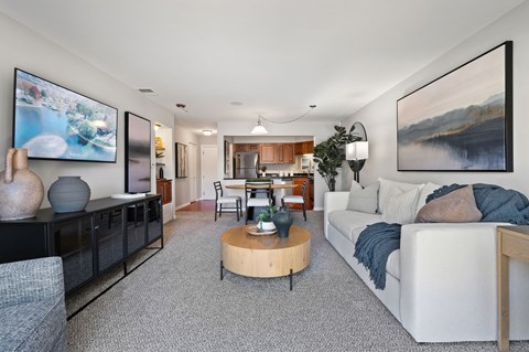 A living room with a grey carpet and a white sofa.