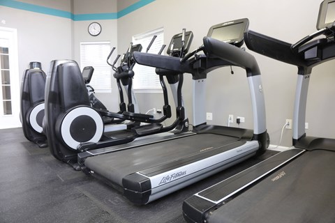 24 HR Fitness Center at Landings at Amhurst Lake Apartments, Illinois