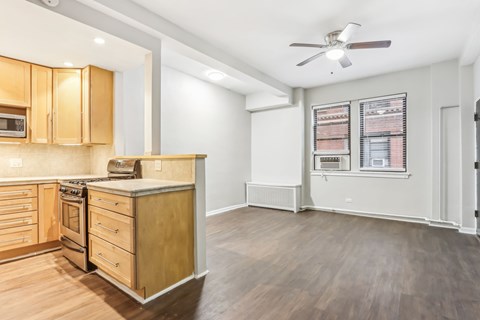 1140 N Lasalle Dr Studio-1 Apartment for Rent