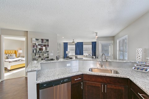 A kitchen with a stainless steel dishwasher and a granite countertop.