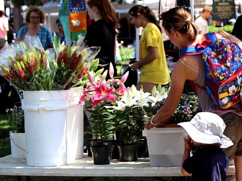 A woman and a child are looking at plants on a table.