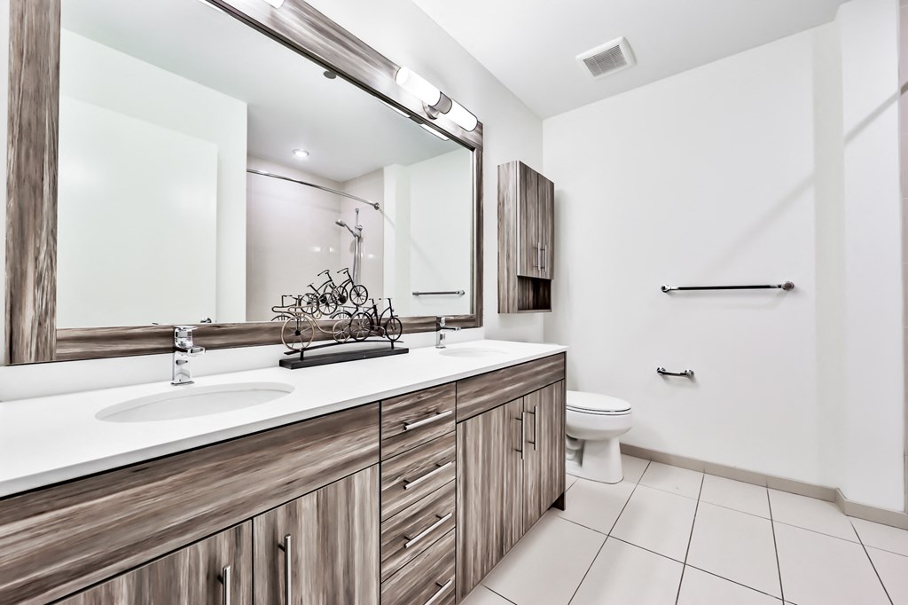 master bathroom with double sinks
