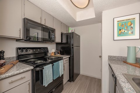 Fusion 35 kitchen with a black stove and a black refrigerator.