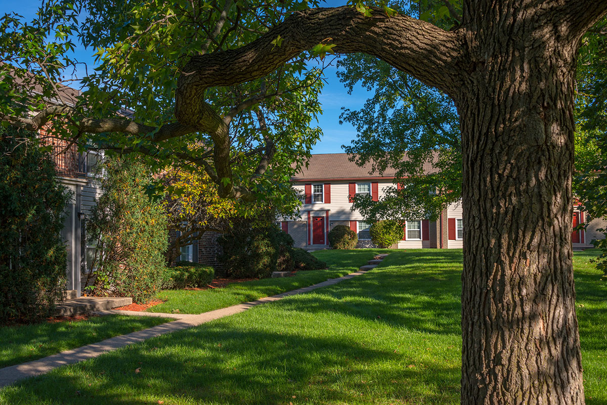 The Legend At Speedway