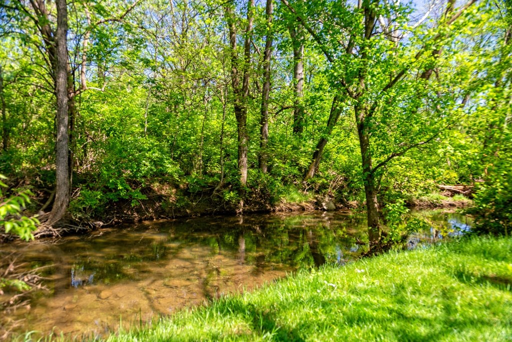 The Retreat at Indian Lake apartments grounds with shallow creek lined by tall green grass and local native trees.