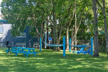 Nashville TN Apartments - The Canvas - Outdoor Hammock Lounge with Two Hammocks, Outdoor Grill Station, and Picnic Seating Surrounded By Lush Landscaping - Photo Gallery 15