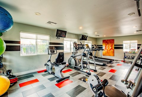A gym with a variety of exercise equipment including treadmills, stationary bikes, and weight machines.