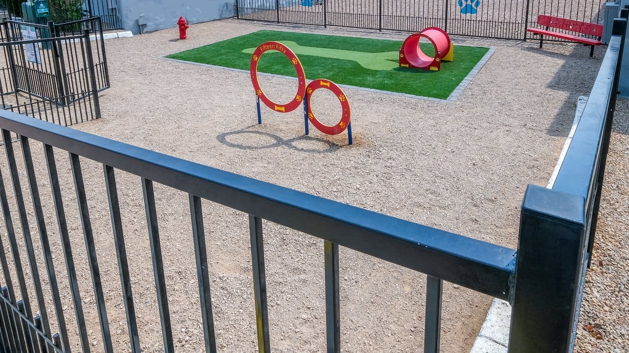 Fifteen 50 apartments Las Vegas Dog park with red park bench, fire hydrant, and dog play tubes and hoops. Features a large patch of artificial grass.