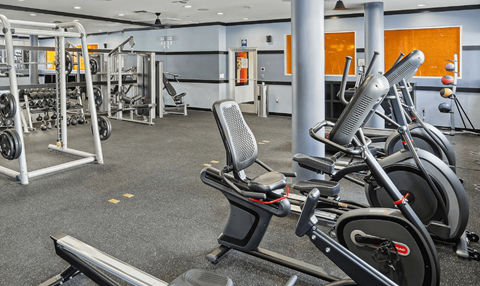 Fusion Encore Hollywood fitness center with a row of exercise bikes and weightlifting equipment.
