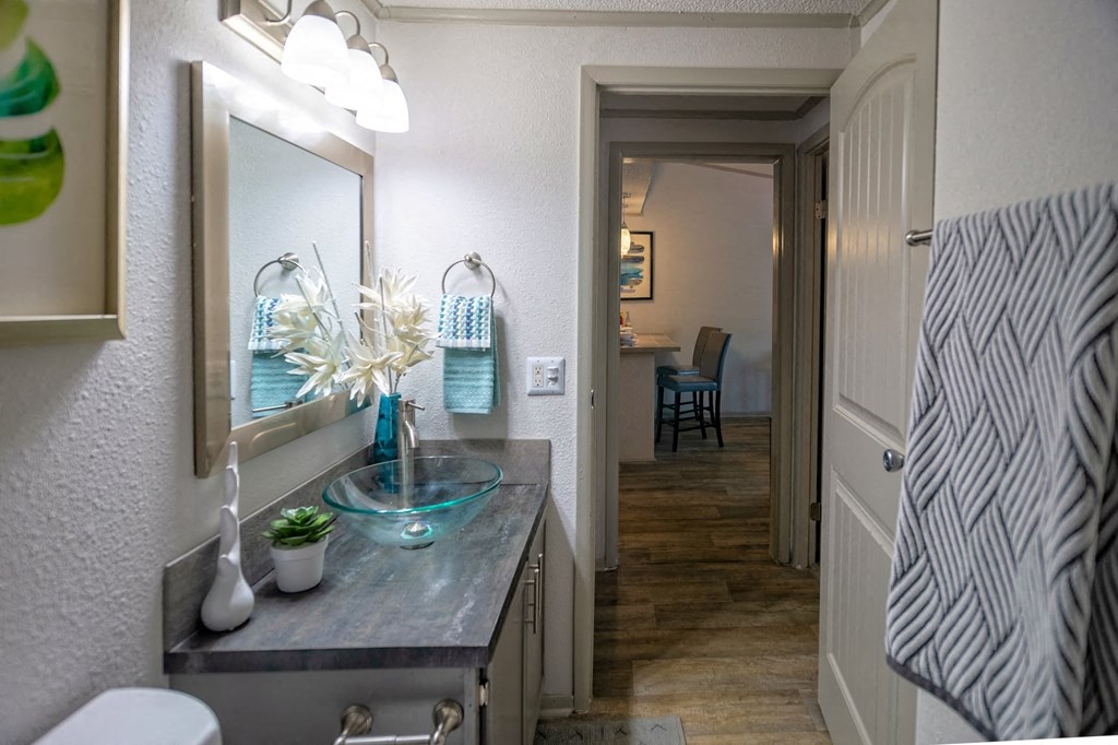Bathroom in the Retreat at Indian Lake one bedroom apartment in Hendersonville with glass basin sink on large vanity.
