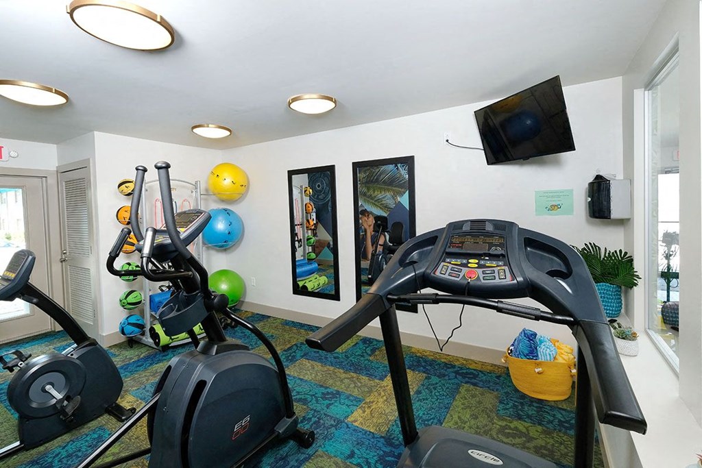 Gym at Watermark luxury Apartments in Lakeland, Fl with exercise balls, yoga mats, cardio machines, and television and mirrors on wall.