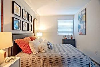 The Canvas - Spacious Bedroom with Plush Carpeting and One Window - Photo Gallery 11