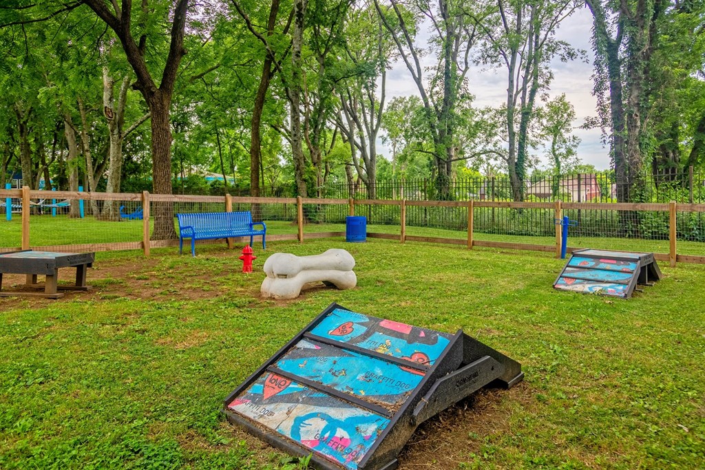 The Canvas apartments dog park with agility course, fire hydrant, blue park bench, and wood and chainlink fencing.