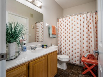 100 Catalina Lane 1-2 Beds Apartment for Rent - Photo Gallery 6
