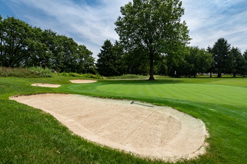 A sand trap on a golf course with a tree in the background.