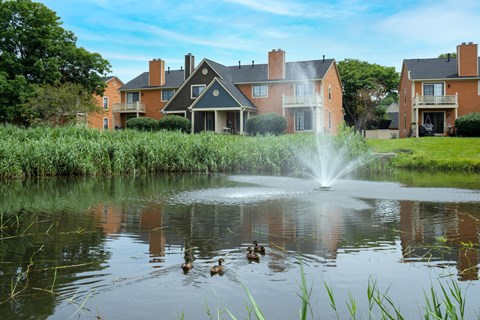 A fountain in the middle of a pond with ducks swimming in it.