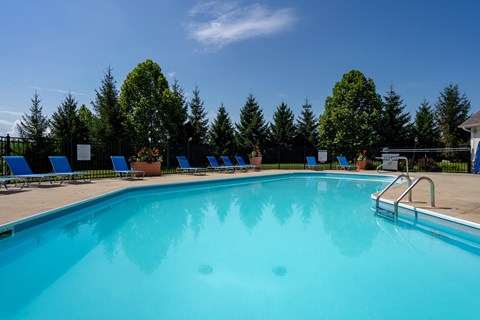 A large blue swimming pool surrounded by trees and sun loungers.