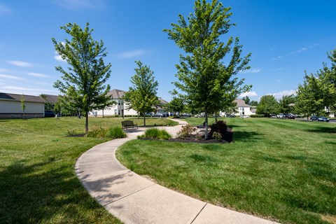 A park with a walkway and trees.