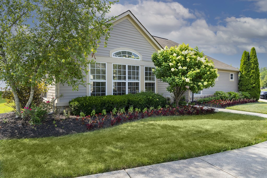A house with a grey roof and a large window surrounded by greenery.