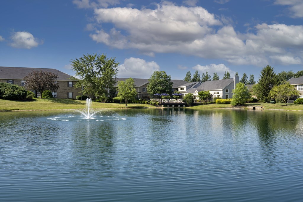 A fountain in the middle of a lake with houses in the background.