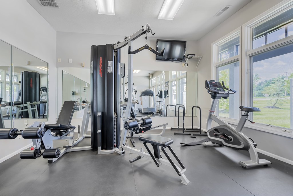 A gym with a variety of equipment including a treadmill, a weight bench and a rowing machine.