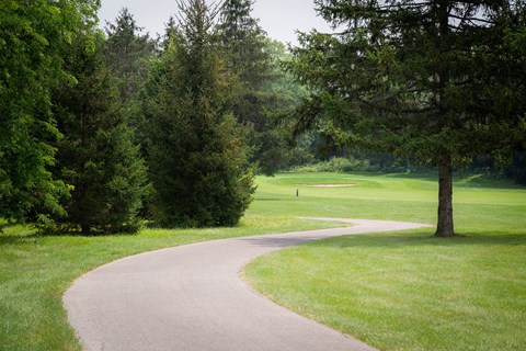 A winding path in a lush green park.