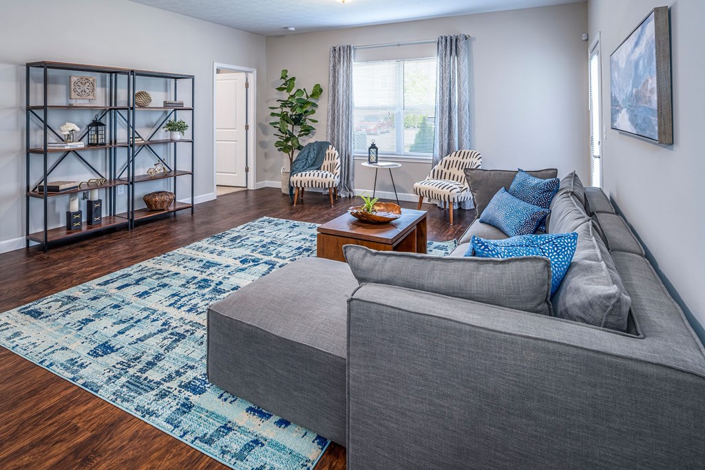 A living room with a grey couch and a blue rug.