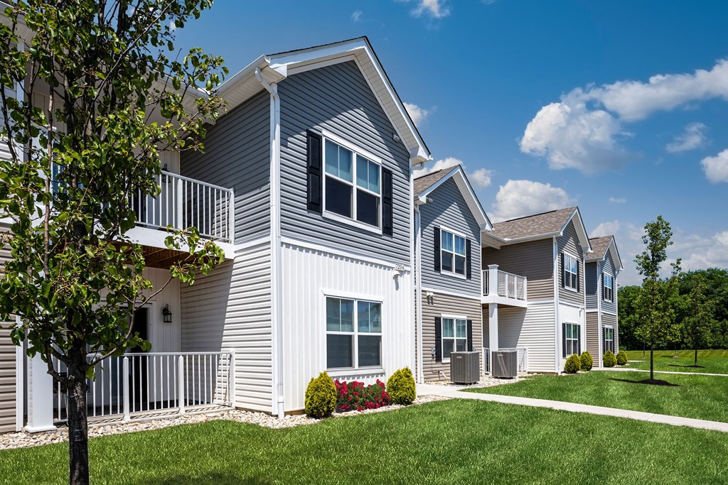 A row of houses with a tree in front of the first one.