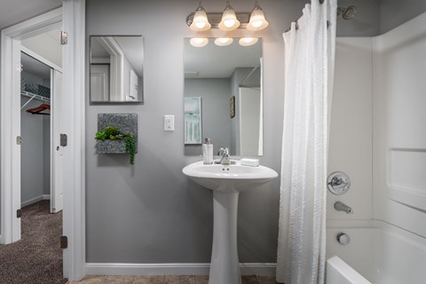 Bathroom with gray walls, a white shower curtain, and a modern, clean layout