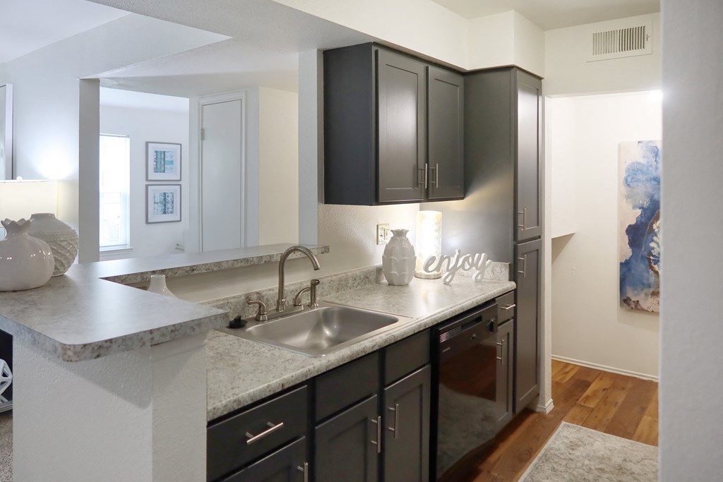Contemporary kitchen with black cabinetry, granite countertops, and stainless sink