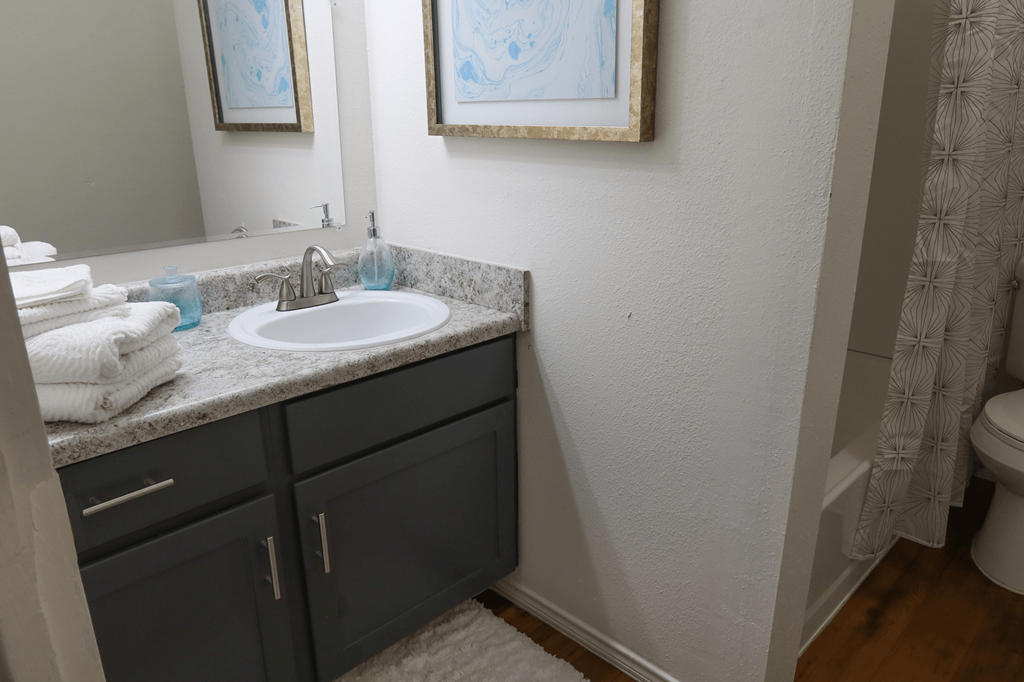 a bathroom with a sink and a mirror and a toilet