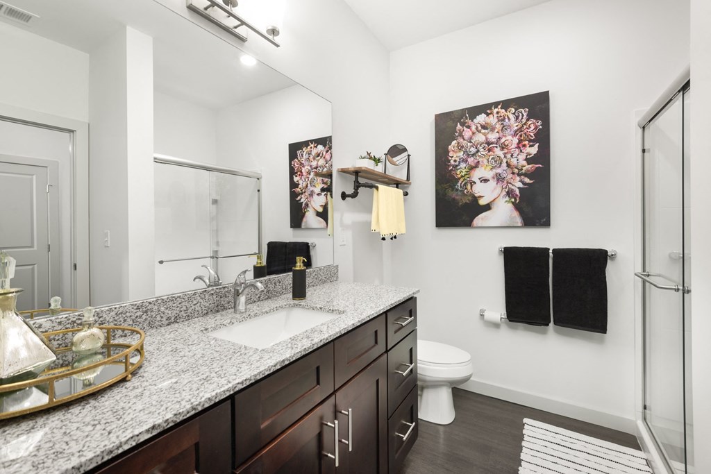 A bathroom equipped with a vanity with a mirror, a walk-in shower, and hardwood-style flooring.
