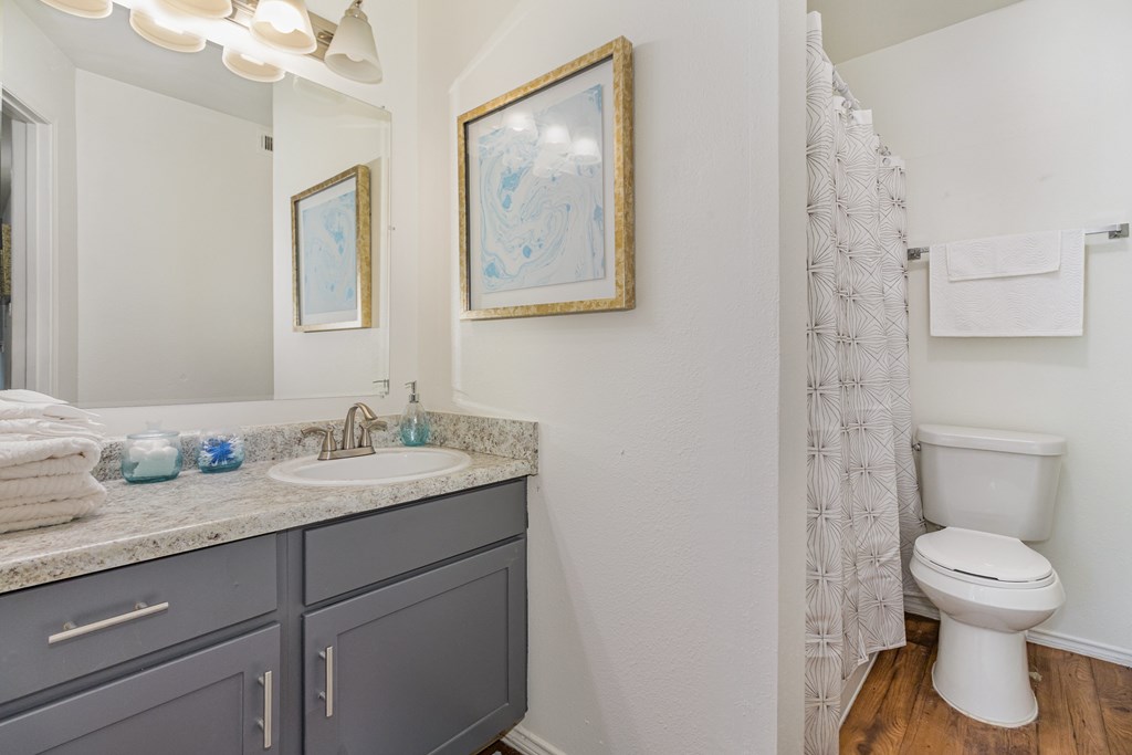 A bathroom with a white toilet and a grey counter.