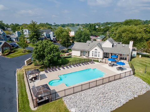 Aerial view of a swimming pool with black lounge chairs and tall trees.